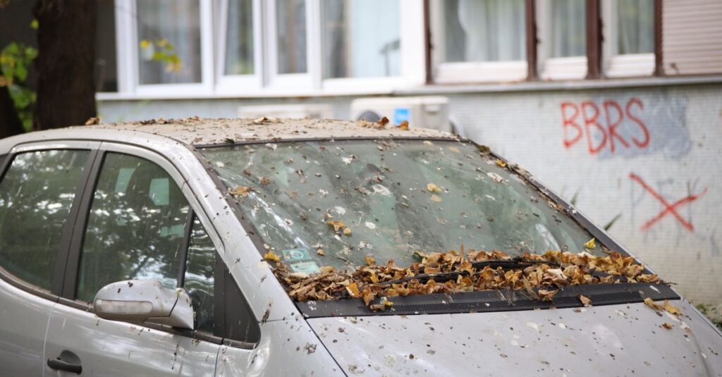 car windshield parking note